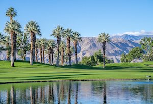 Palm desert city